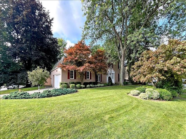 31 Saintfield Ave